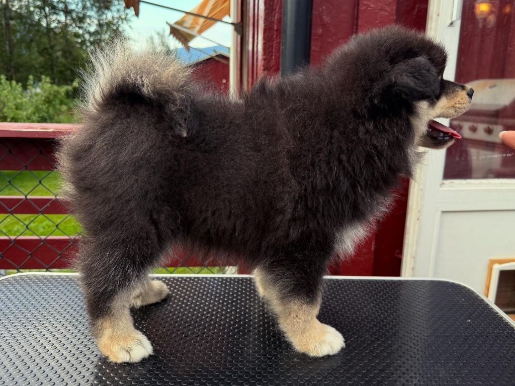 breaking the rules Kids in america