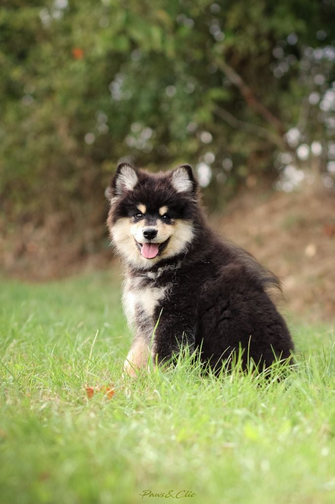 breaking the rules Kids in america