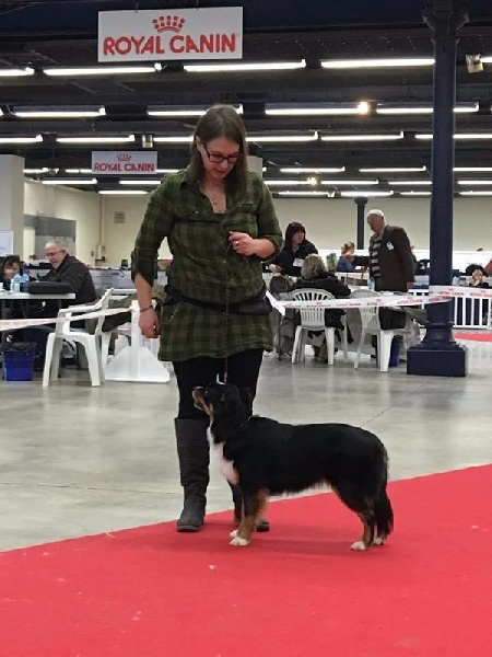 I am your dream De La Horde Des Tutus Fous - 1ERE EXCELLENTE CACS MEILLEURE SEXE OPPOSE