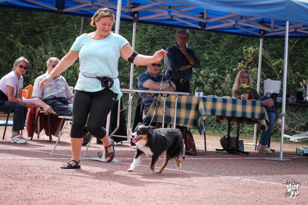 Galaxy's luna ar menez - 3EME EXCELLENT