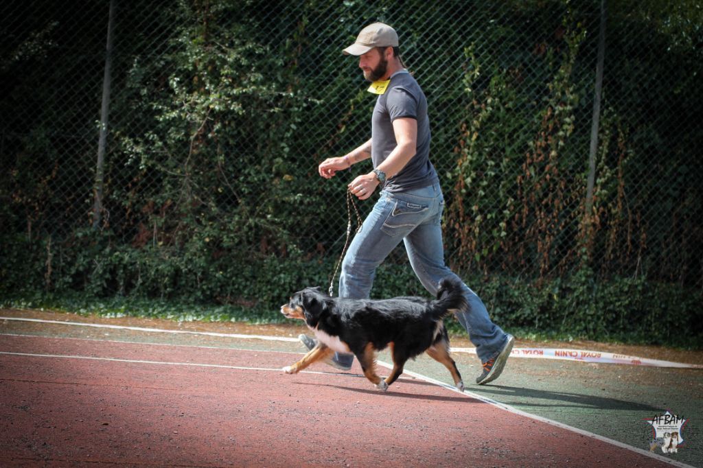 I am your dream De La Horde Des Tutus Fous - 4 EME TRES BON