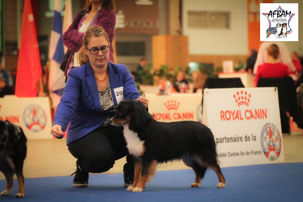 I am your dream De La Horde Des Tutus Fous - 3eme excellent