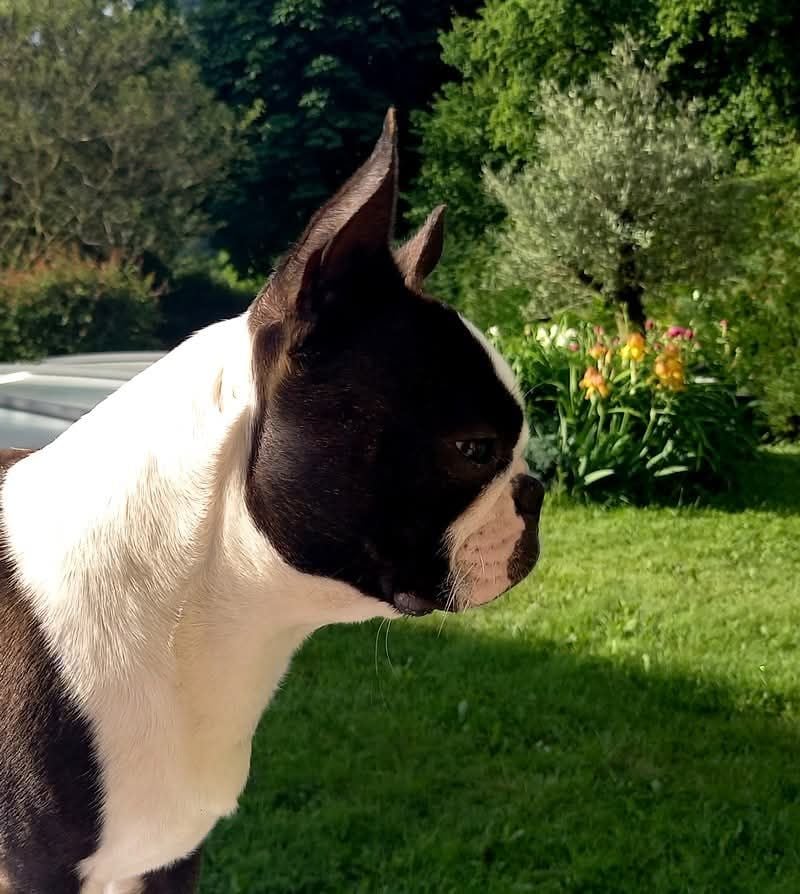 Publication : des Jardins de Passiflore