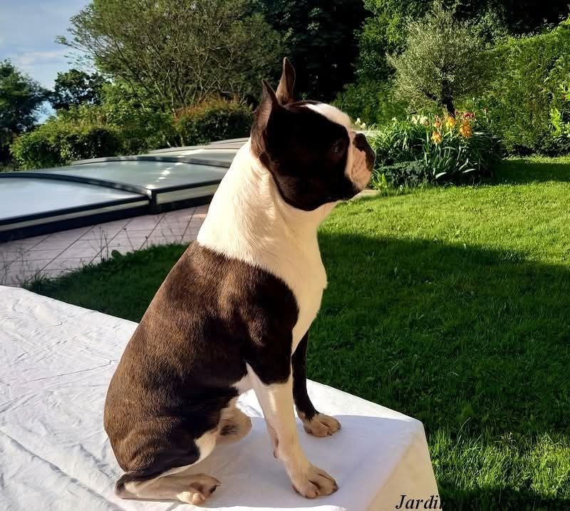 Publication : des Jardins de Passiflore