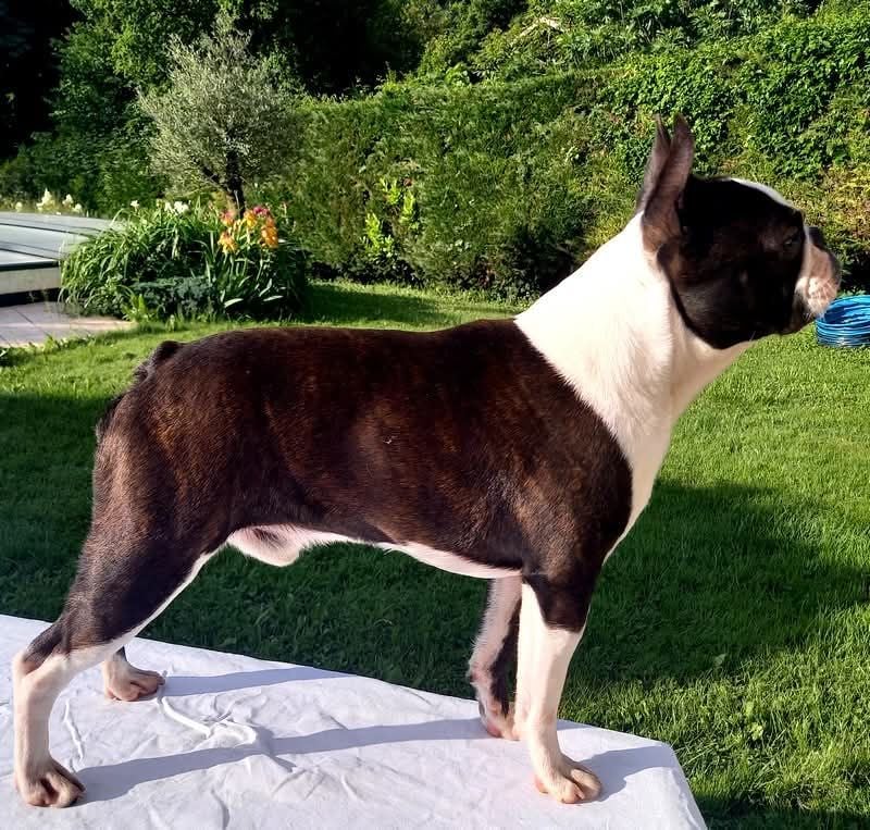 Publication : des Jardins de Passiflore