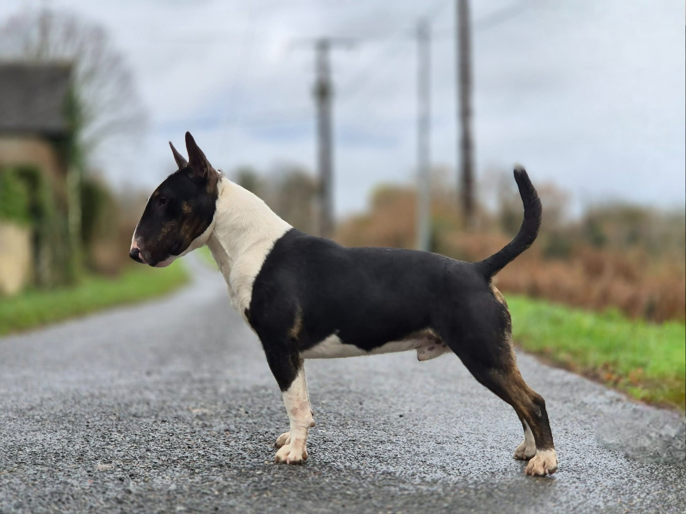 V'atlas de l'éternel de gaya De L'Eternel De Gaya 