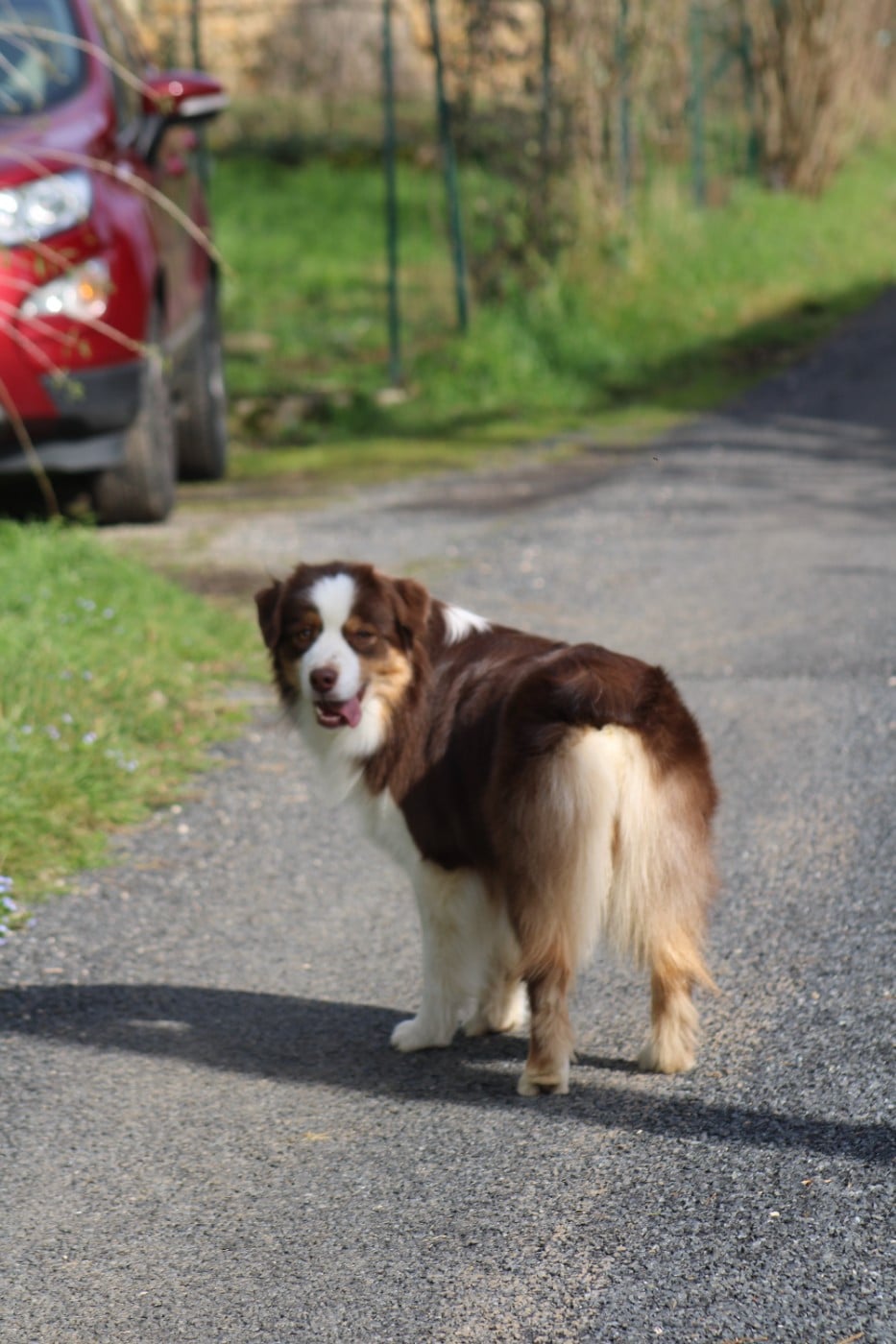 Un brin d'histoire Du Royaume Secret D'opaline