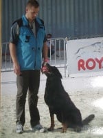 du bosquet Guillaume