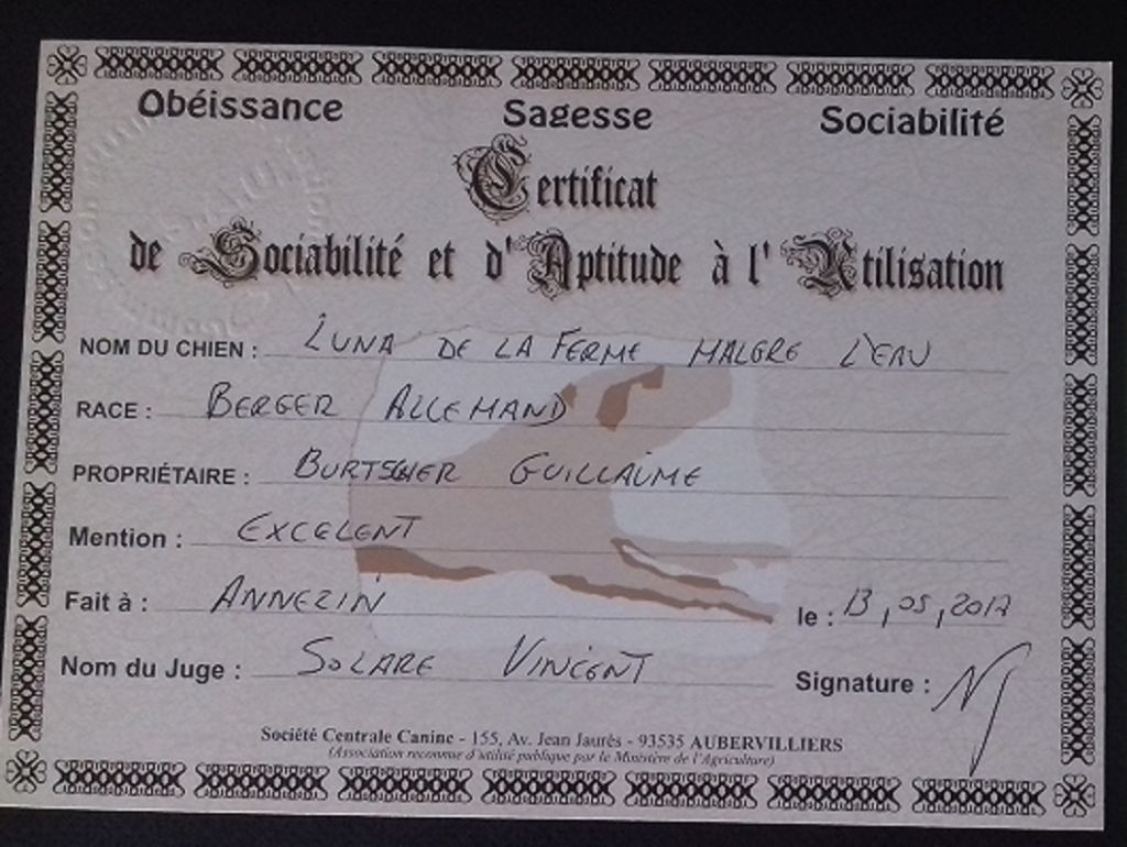 Luna de la ferme malgre l eau - Certificat de Sociabilité et d'Aptitude à l'Utilisation