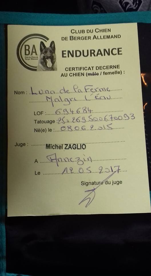 Luna de la ferme malgre l eau - Brevet d'Endurance