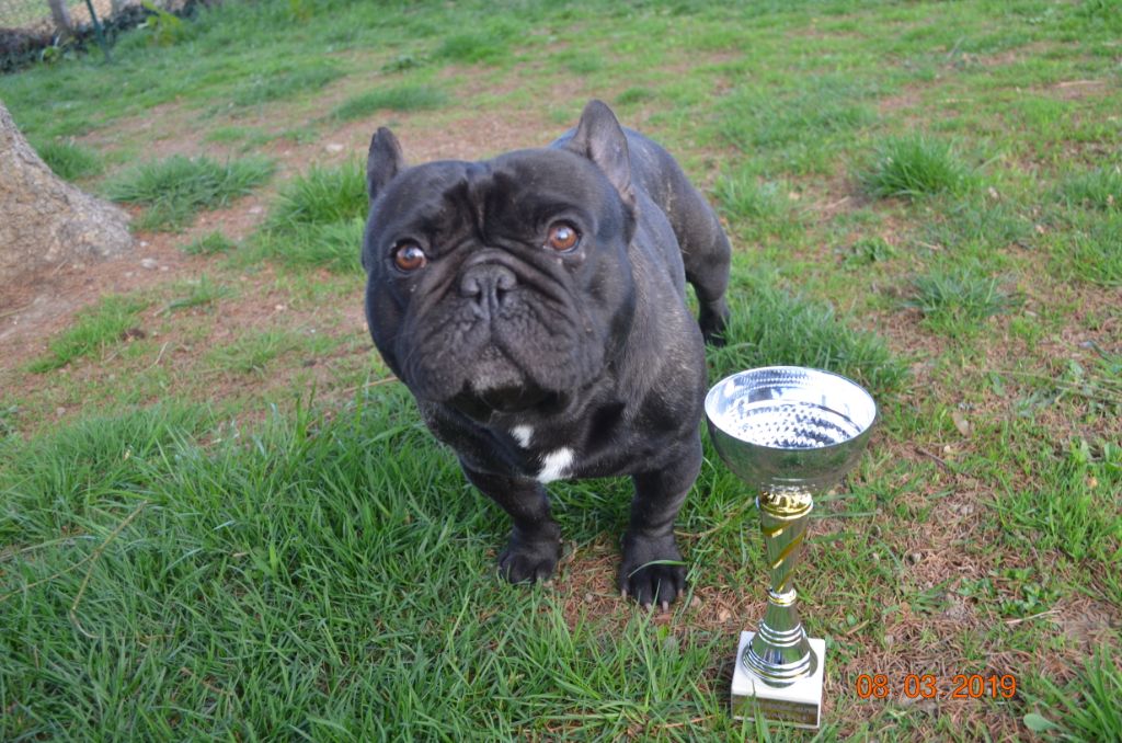 Maestro De La Belle Chanel - 2ème excellent Classe Ouverte