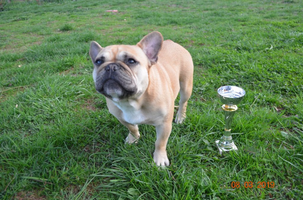 Mindy Domaine de Floyd et Louna - 3ème excellent Classe Ouverte