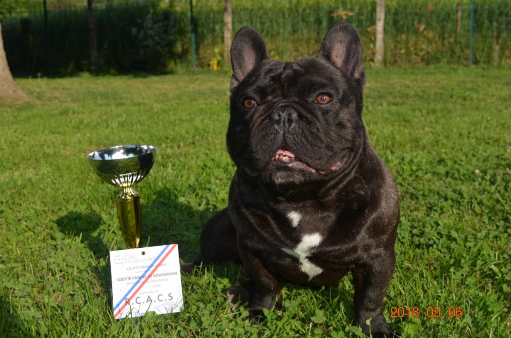 Maestro De La Belle Chanel - 1er excellent + RCACS