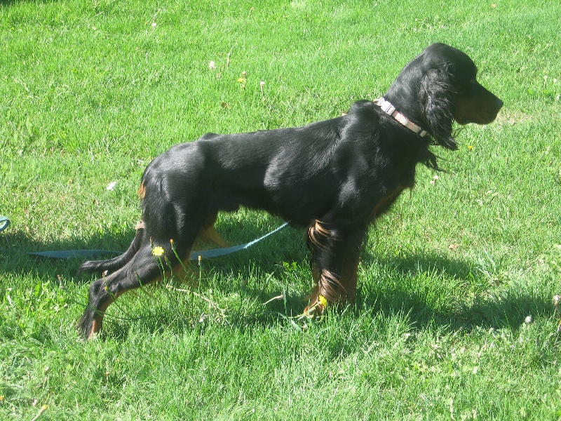 Publication : (Sans Affixe)