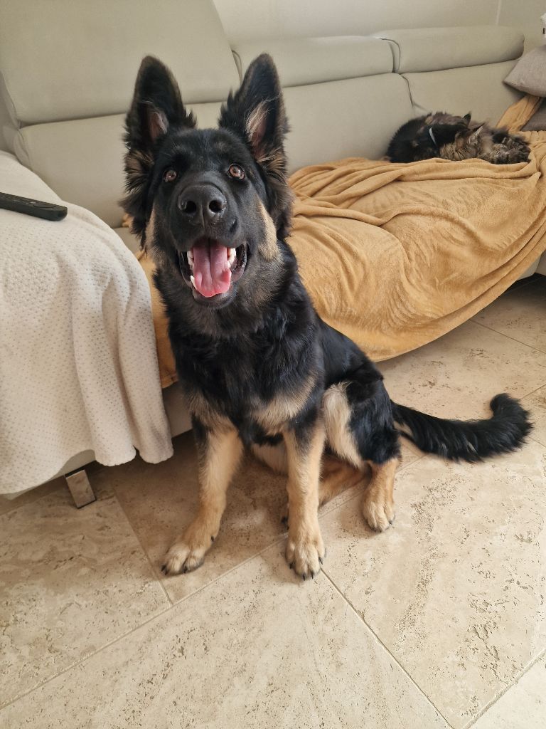 Awen du Bois de Chantalouette