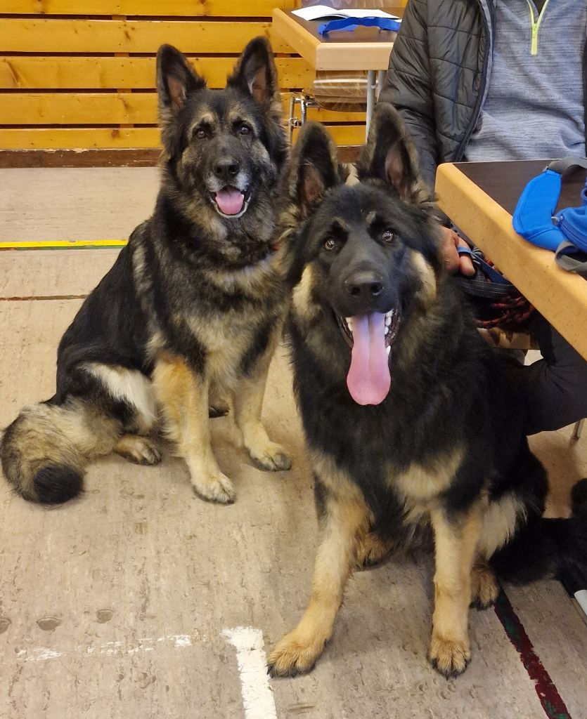 Awen du Bois de Chantalouette