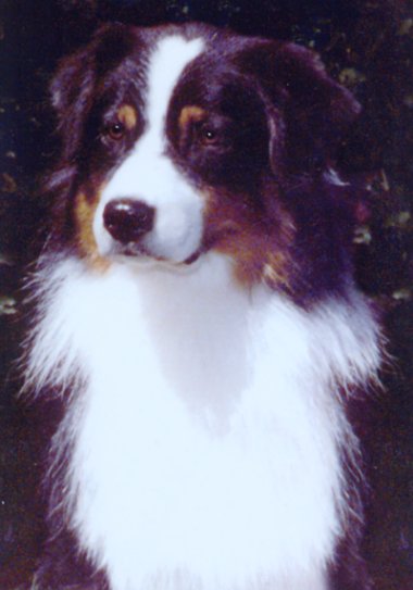 Publication : du Domaine de la Source Bleue