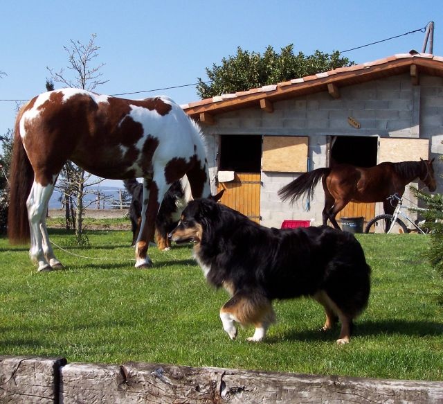 U'sweet little black Of crystal lake - 2 ième TB