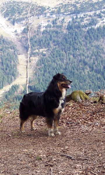 U'sweet little black Of crystal lake - 4 ième Excellent