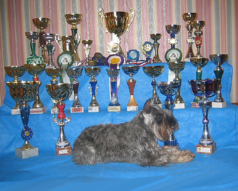 Rany (Sans Affixe) - coupes