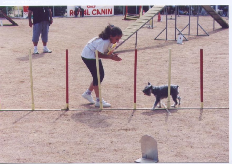 Rany (Sans Affixe) - Championnat de Françe 32° Coupe de Françe 28°