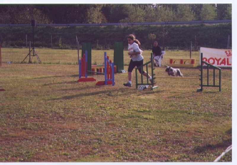 Rany (Sans Affixe) - coupes