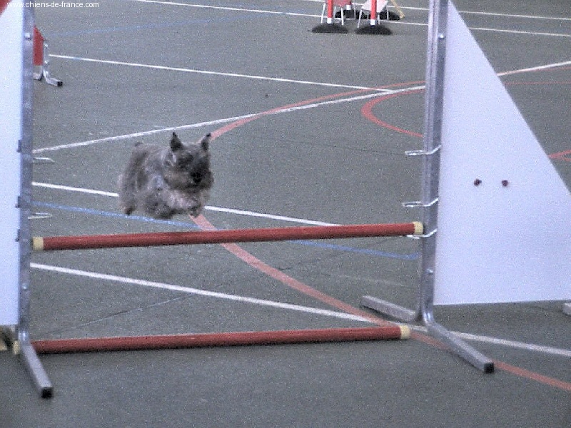 Rany (Sans Affixe) - 4° GRAND PRIX DE LA VILLE DE NANTES