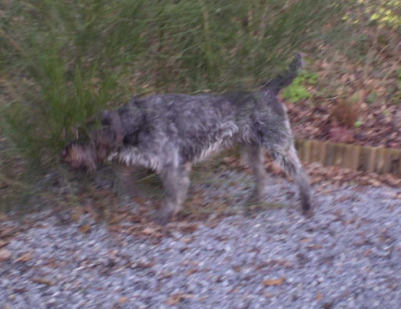 Publication : De la coipeane Auteur : boutet d