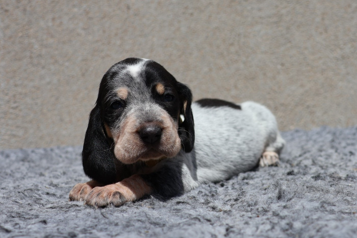 Bertille