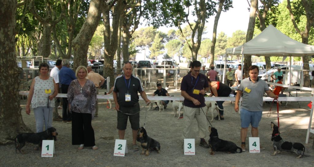 Lavande des vallées longeronnaises - 3ème excellent classe ouverte