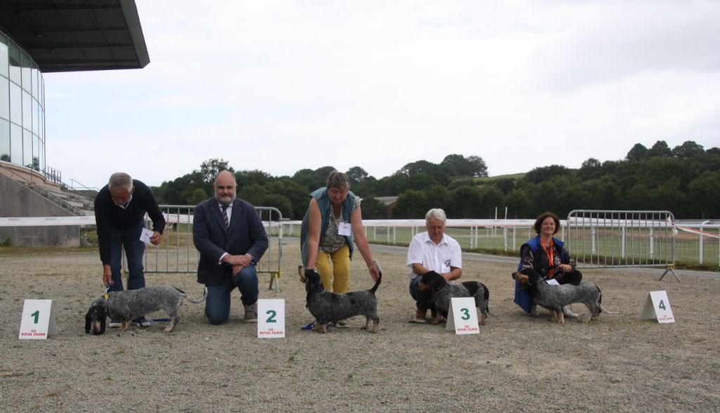 Symphonie des vallées longeronnaises - 2ème excellent CI F