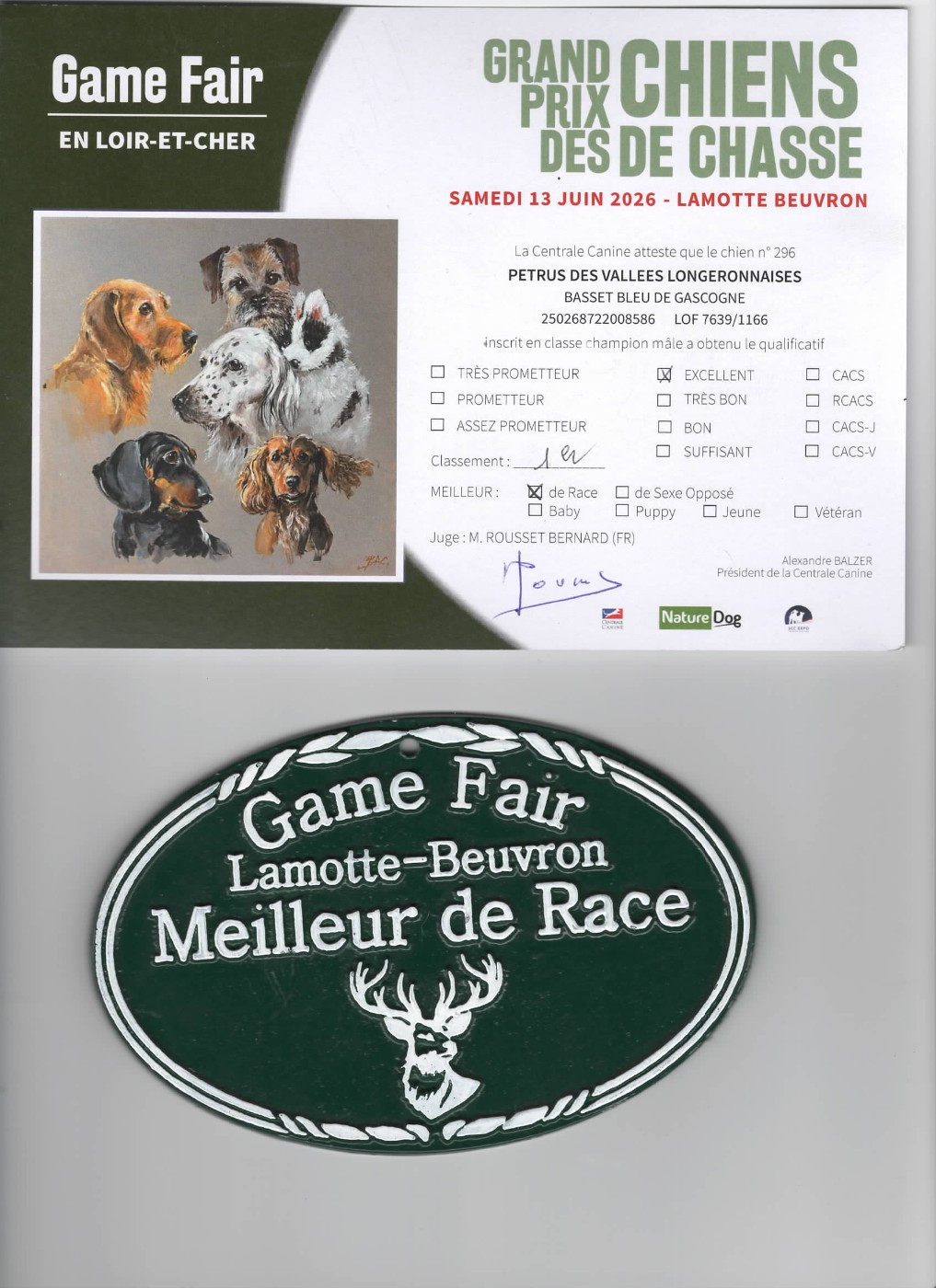 CH. Petrus des vallées longeronnaises - BOB Meilleur de race