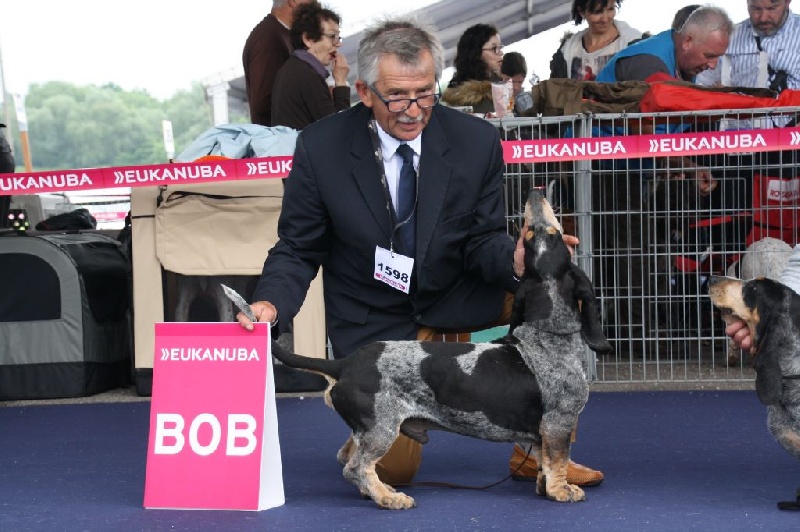 CH. Idunet des vallées longeronnaises - CACS CACIB MEILLEUR DE RACE BOB