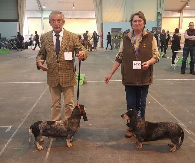 Lavande des vallées longeronnaises - CACS CACIB BOS