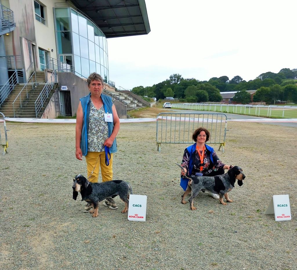 CH. Petrus des vallées longeronnaises - 1 Excellent CACS Meilleur de race