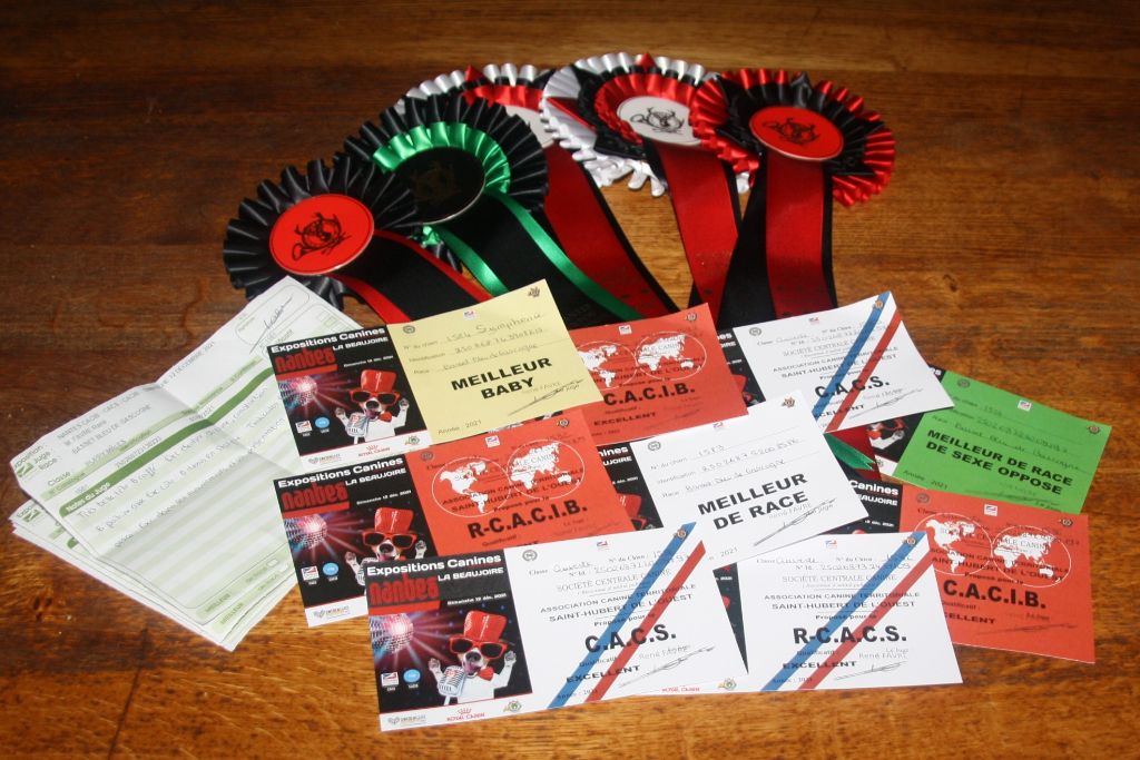 Odeon des vallées longeronnaises - RCACS RCACIB