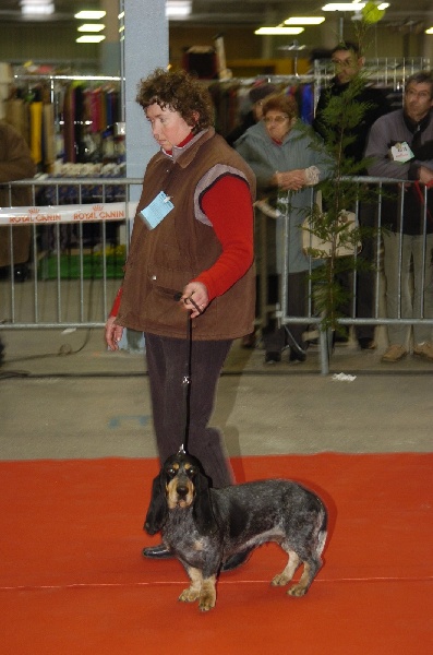 Balzane des vallées longeronnaises - CACIB meilleur de race