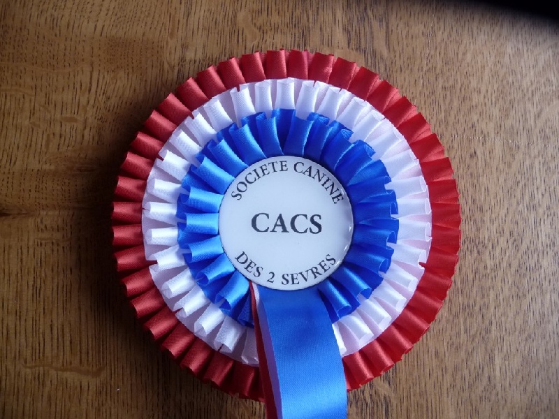 Figaro des vallées longeronnaises - CACS