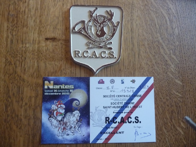 Helza des vallées longeronnaises - 1er excellent RCACS