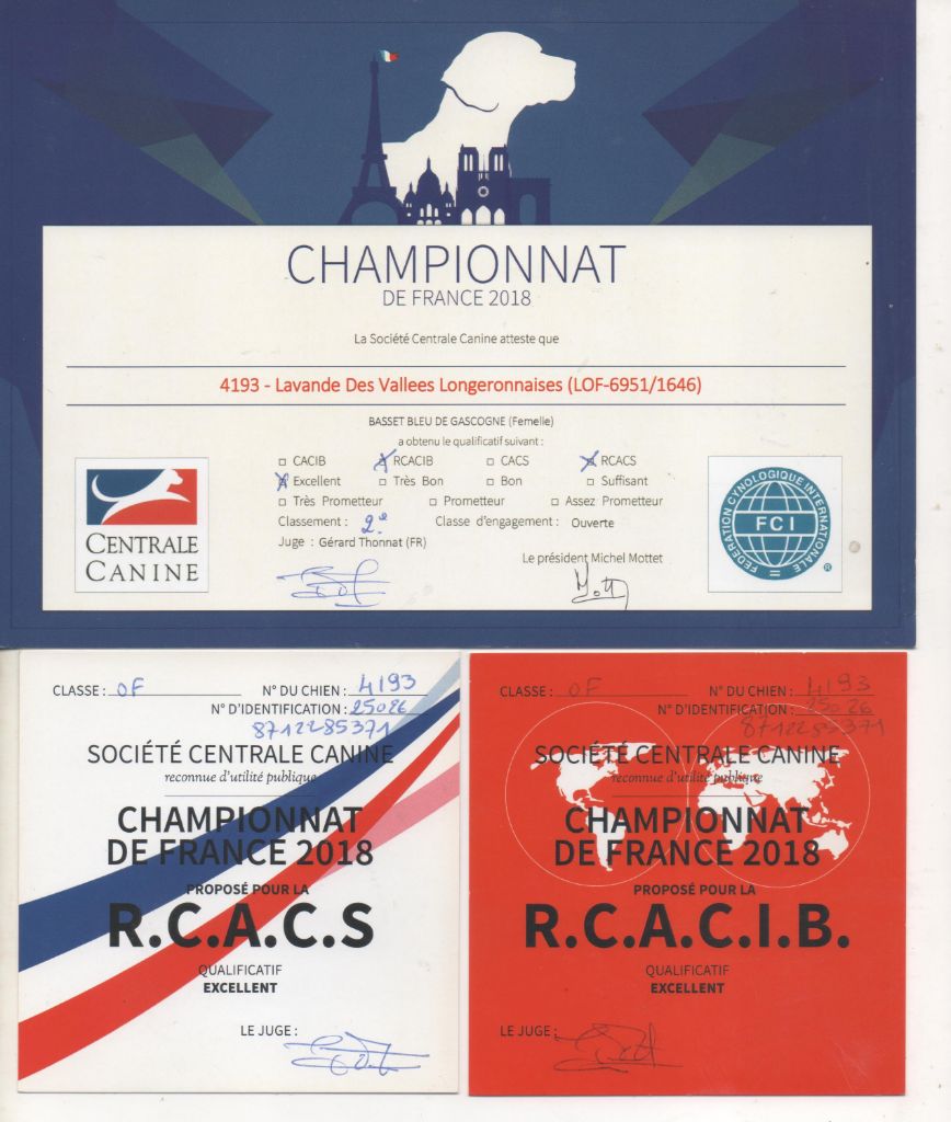 Lavande des vallées longeronnaises - RCACS RCACIB