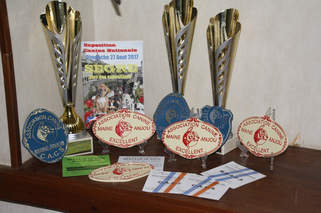 Lavande des vallées longeronnaises - 2ème excellent