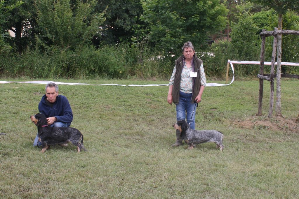 Turkoise des vallées longeronnaises - Excellent