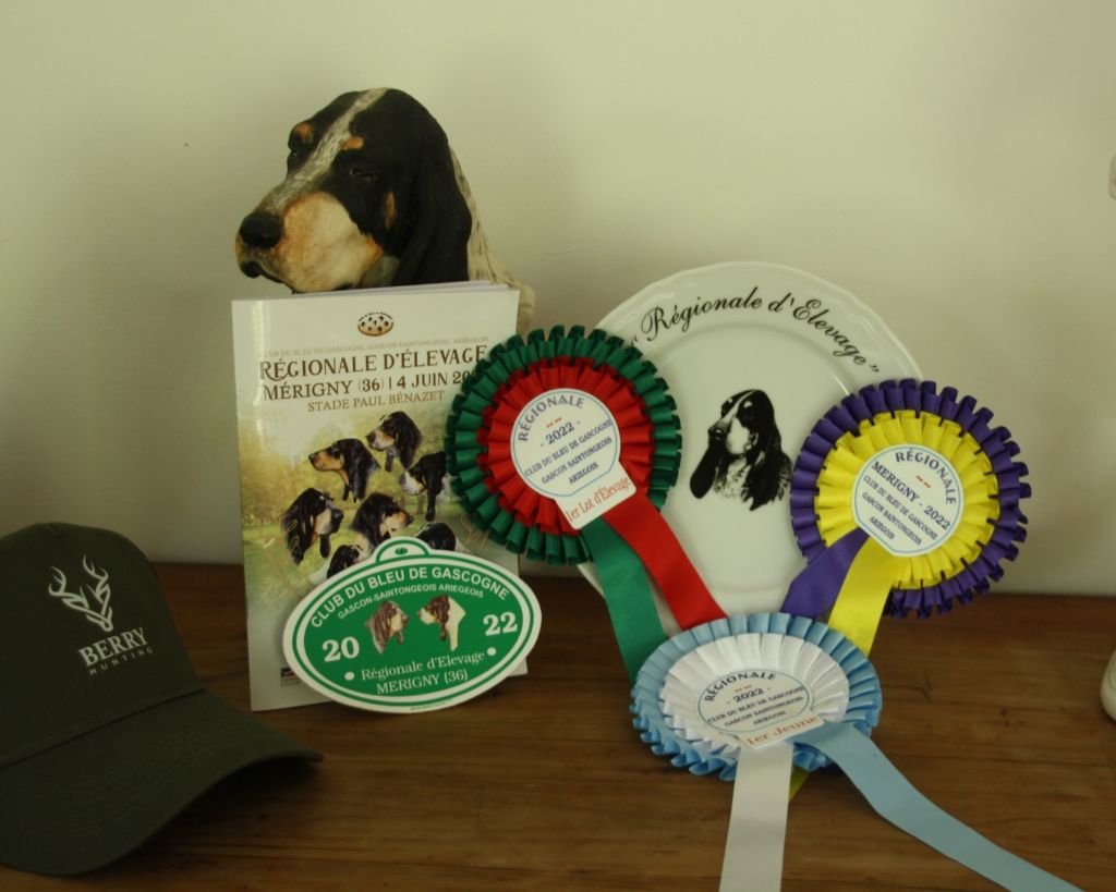 CH. Petrus des vallées longeronnaises - 2ème excellent CO male