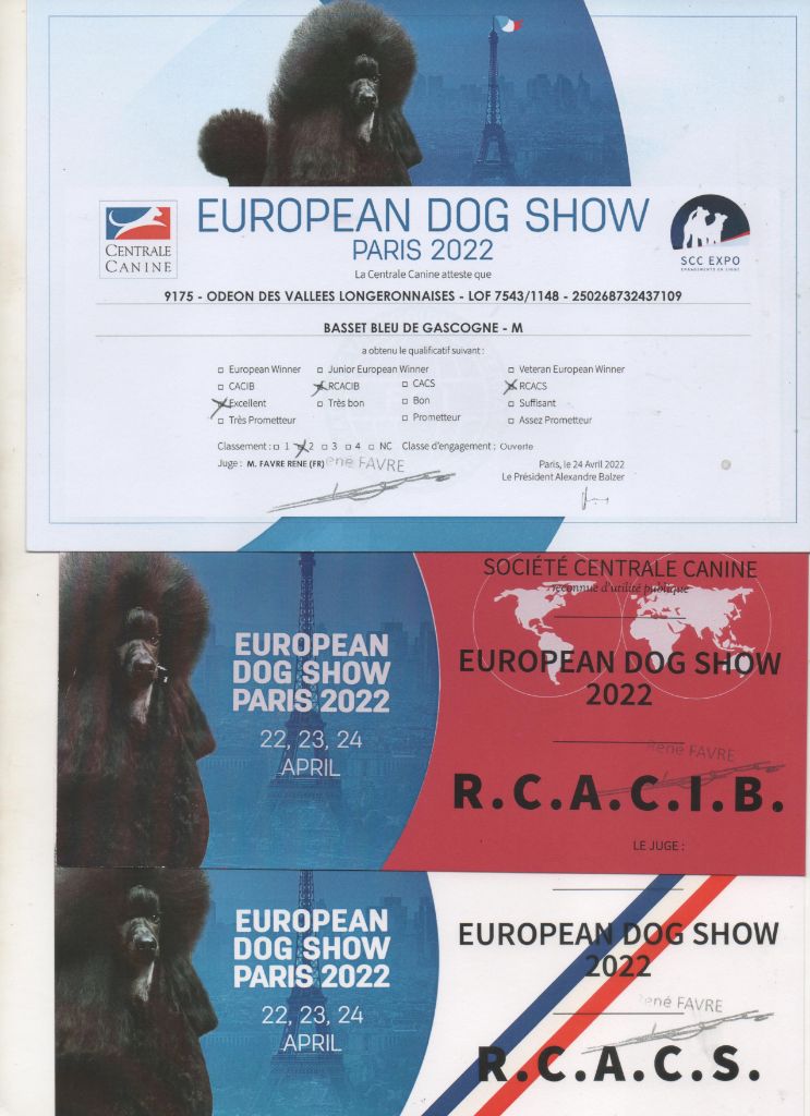 Odeon des vallées longeronnaises - 2ème excellent RCACS RCACIB