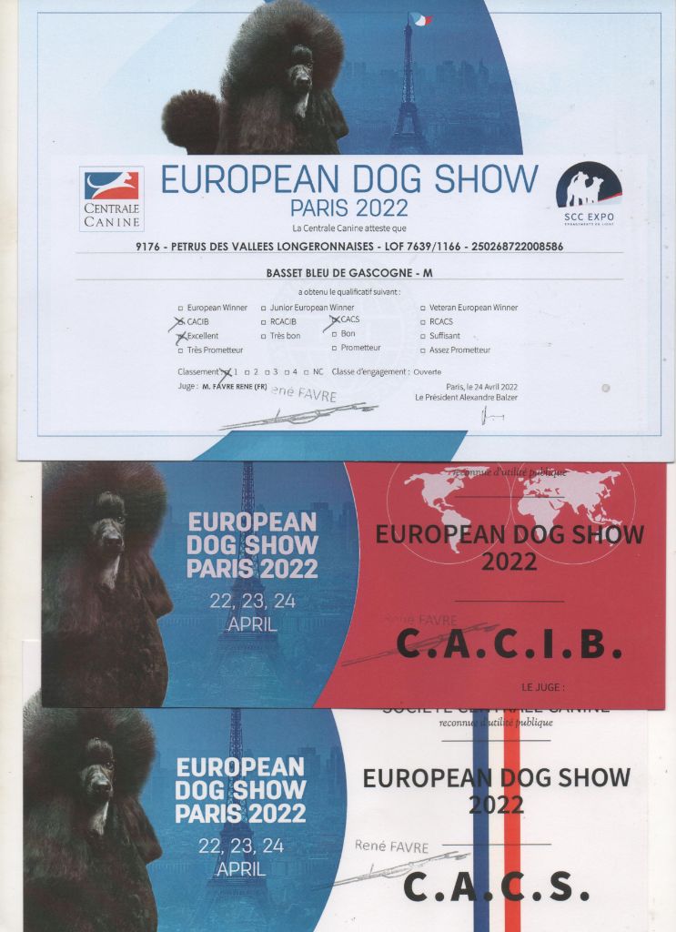 CH. Petrus des vallées longeronnaises - 1er excellent CACS CACIB