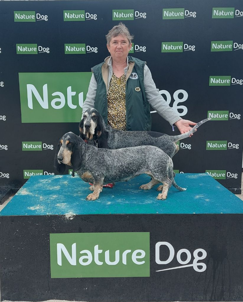 Turkoise des vallées longeronnaises - CACS BOS