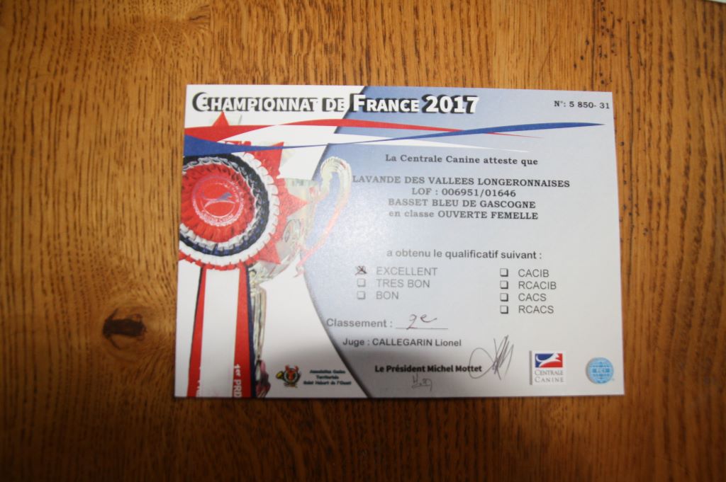 Lavande des vallées longeronnaises - 2ème excellent