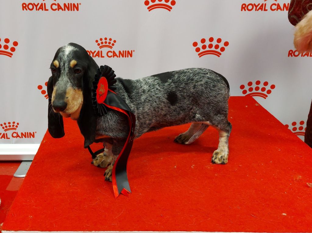 Symphonie des vallées longeronnaises - Très prometteur Meilleur Baby