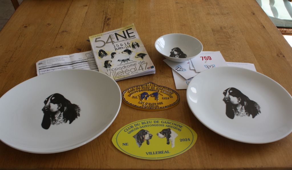 CH. Petrus des vallées longeronnaises - 1er excellent BOB Champion