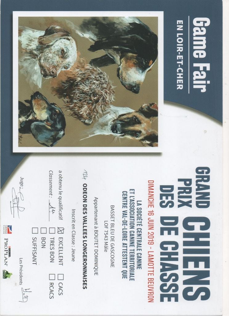 Odeon des vallées longeronnaises - 1er très bon